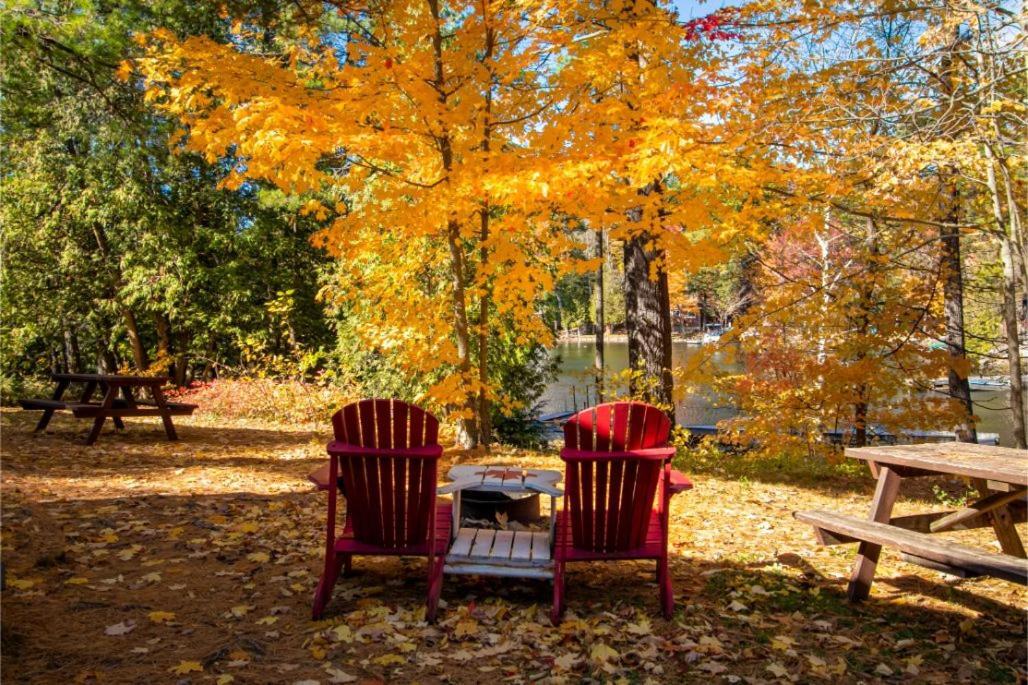 The Trace At Oak Lake Havelock エクステリア 写真